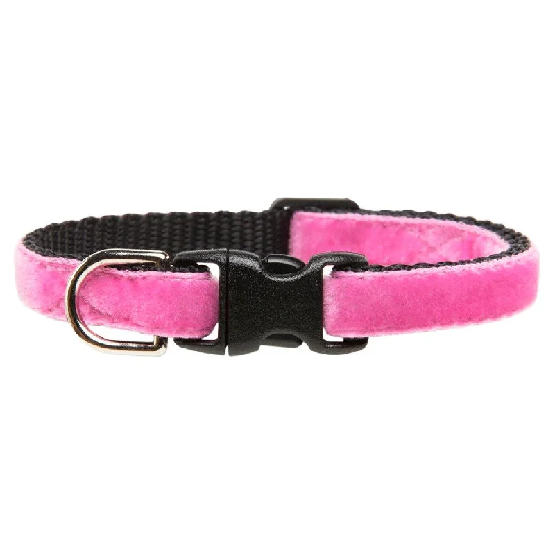 The Ringleader - Cat Collar