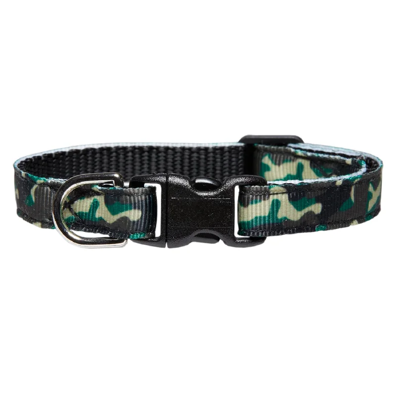 The Roky - Cat Collar