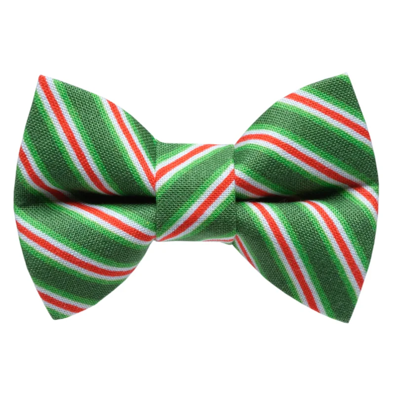 The Dasher - Cat / Dog Bow Tie