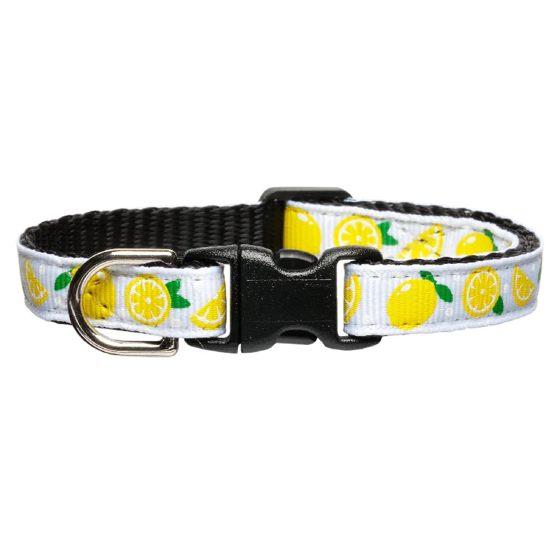 The Citrus Got Real - Cat Collar