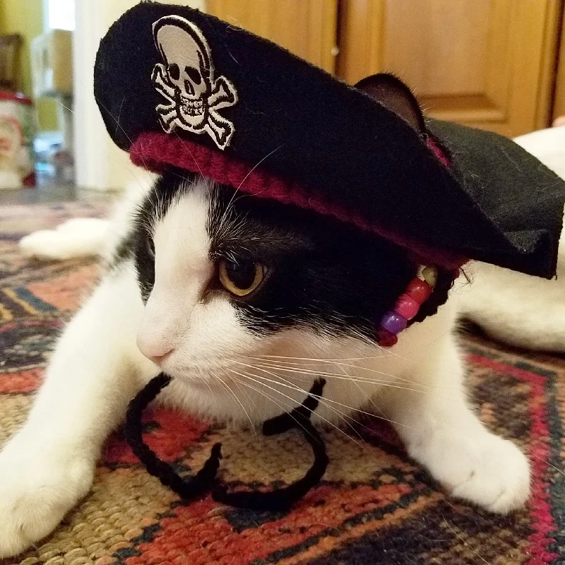 Pirate Hat for Cats and Dogs