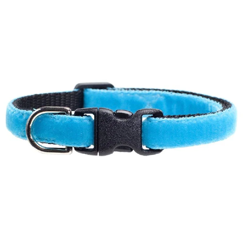 The Sky's the Limit - Cat Collar