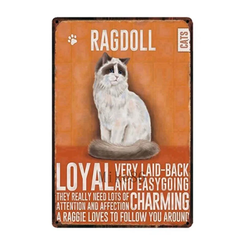 Ragdoll