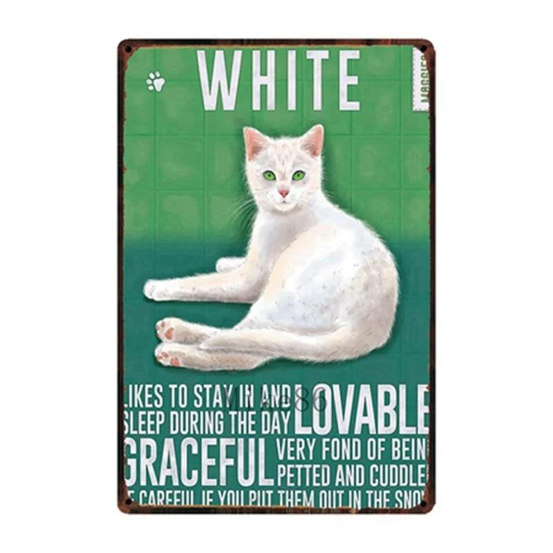 White Cat