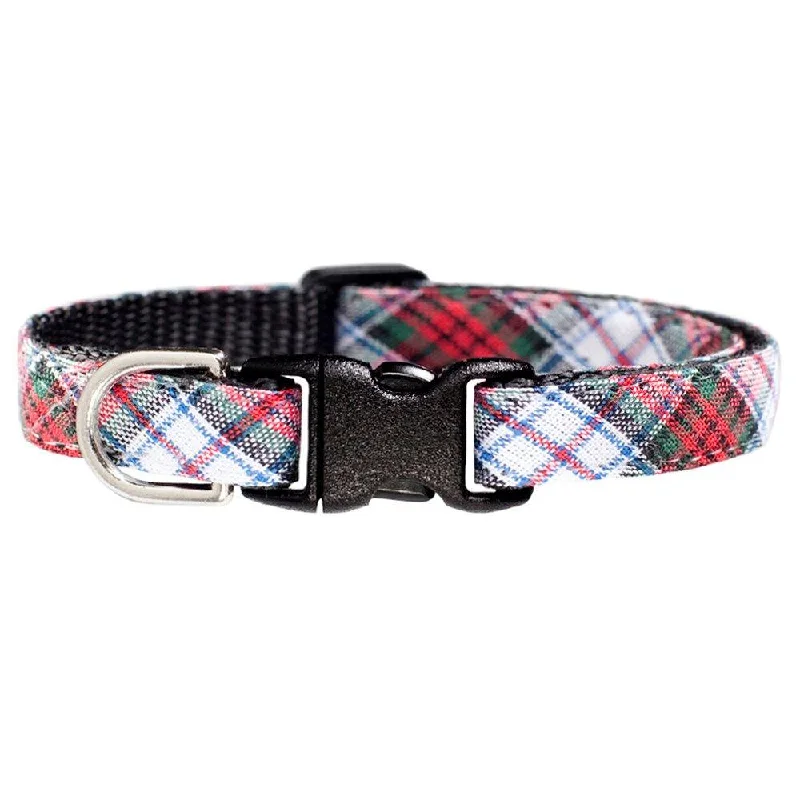 The Trailblazer - Cat Collar