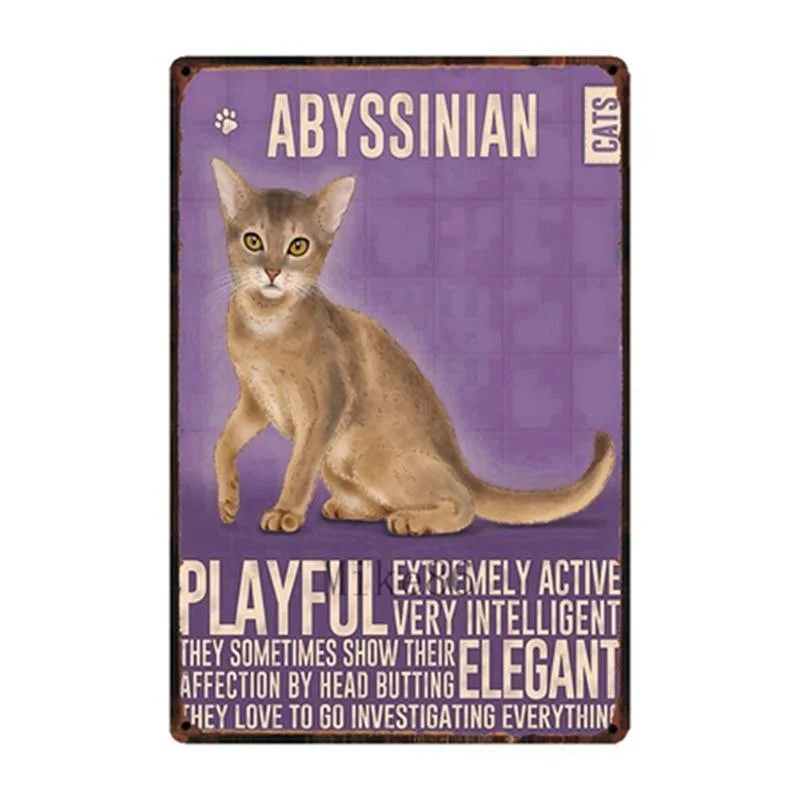 Abbysinian