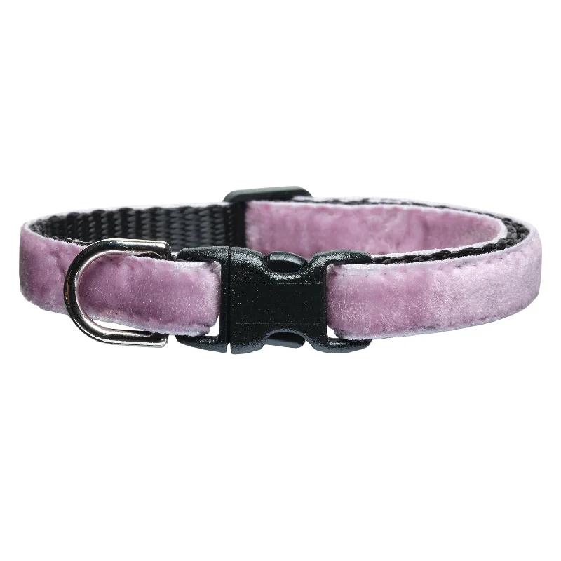 The Sugar Plum  - Cat Collar