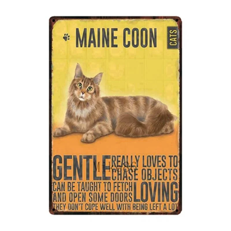 Maine Coon