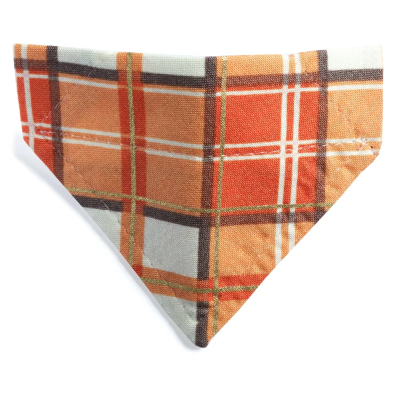 The Fall Guy - Cat / Small Dog Bandana