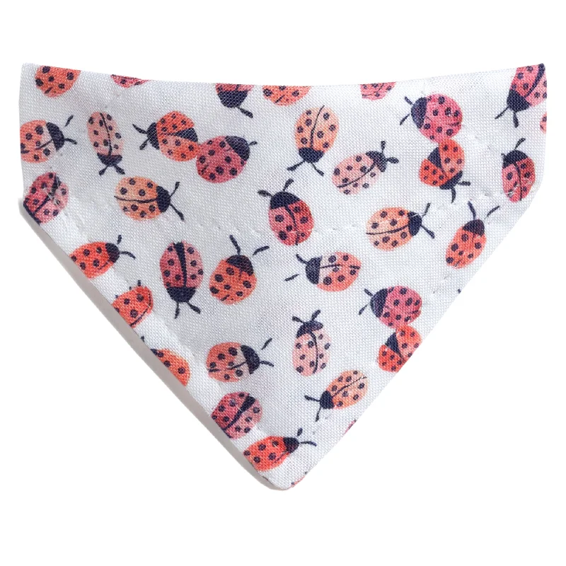 The Spot On - Cat / Small Dog Bandana