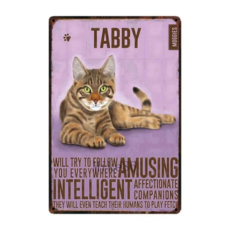 Tabby Cats