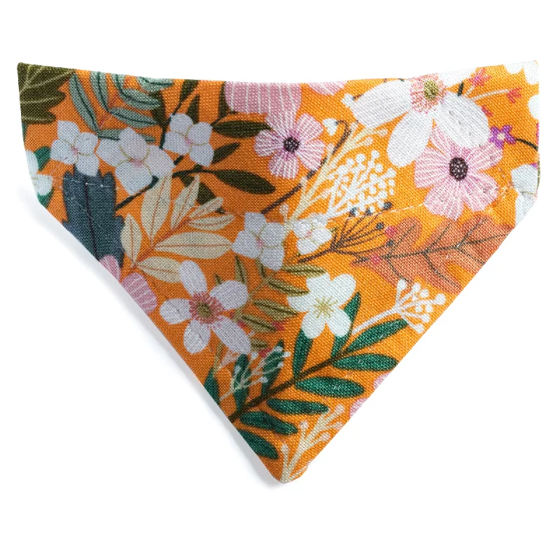 The Force of Nature - Cat / Small Dog Bandana