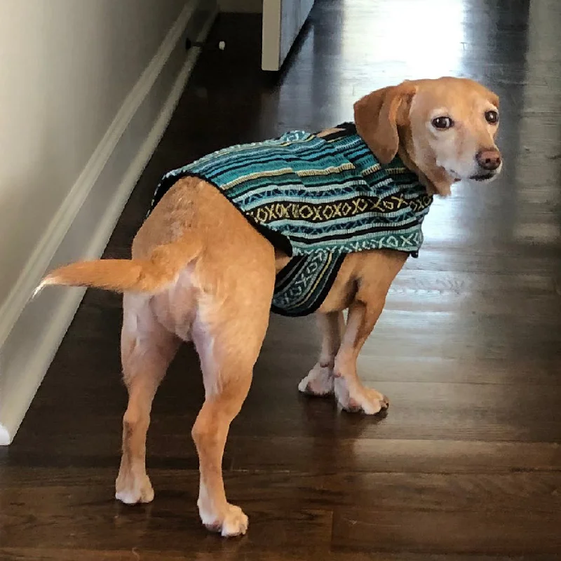 Dog Poncho - Peacock Blue