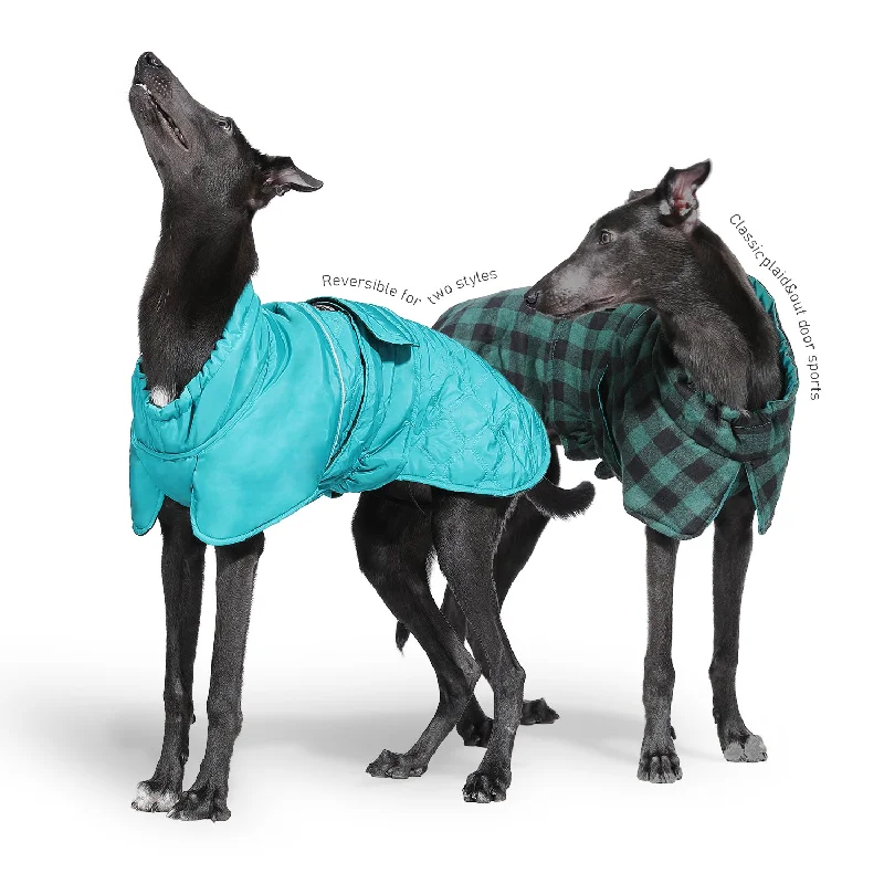 PAWZ Road Reversible Waterproof Windproof Green Dog Jacket