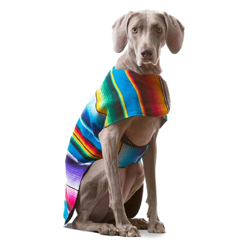 Dog Poncho From Mexican Serape Blanket - Blue