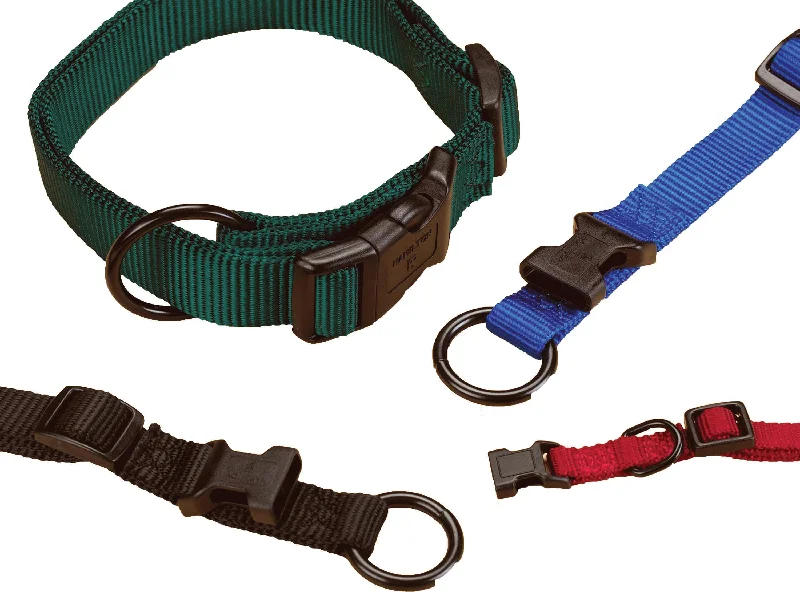 Adjustable Dog Collar