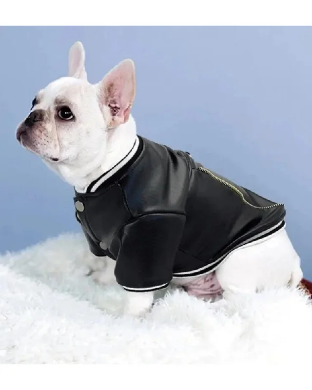 Very Varsity Faux Leather Dog Jacket with D-Ring (FINAL SALE)