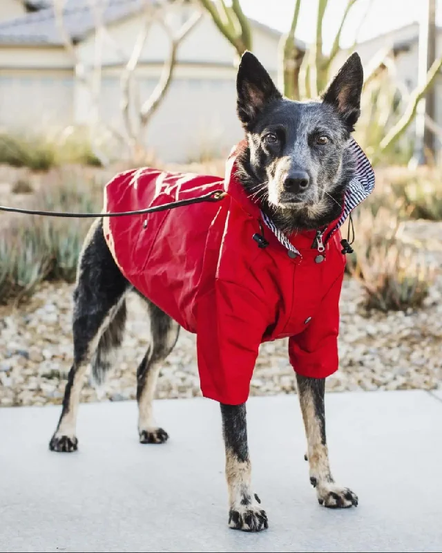 Rainy Day Dog Raincoat in Red