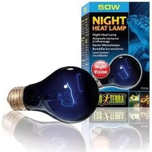 Night Heat Lamp -(Exo Terra)