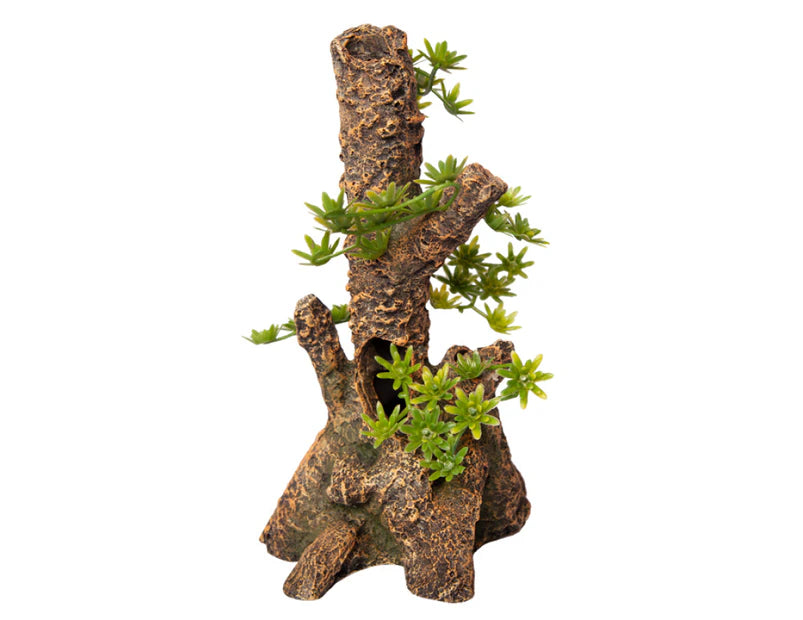 Ornament Umbrella Pine Stump Small 12.5wx13.5