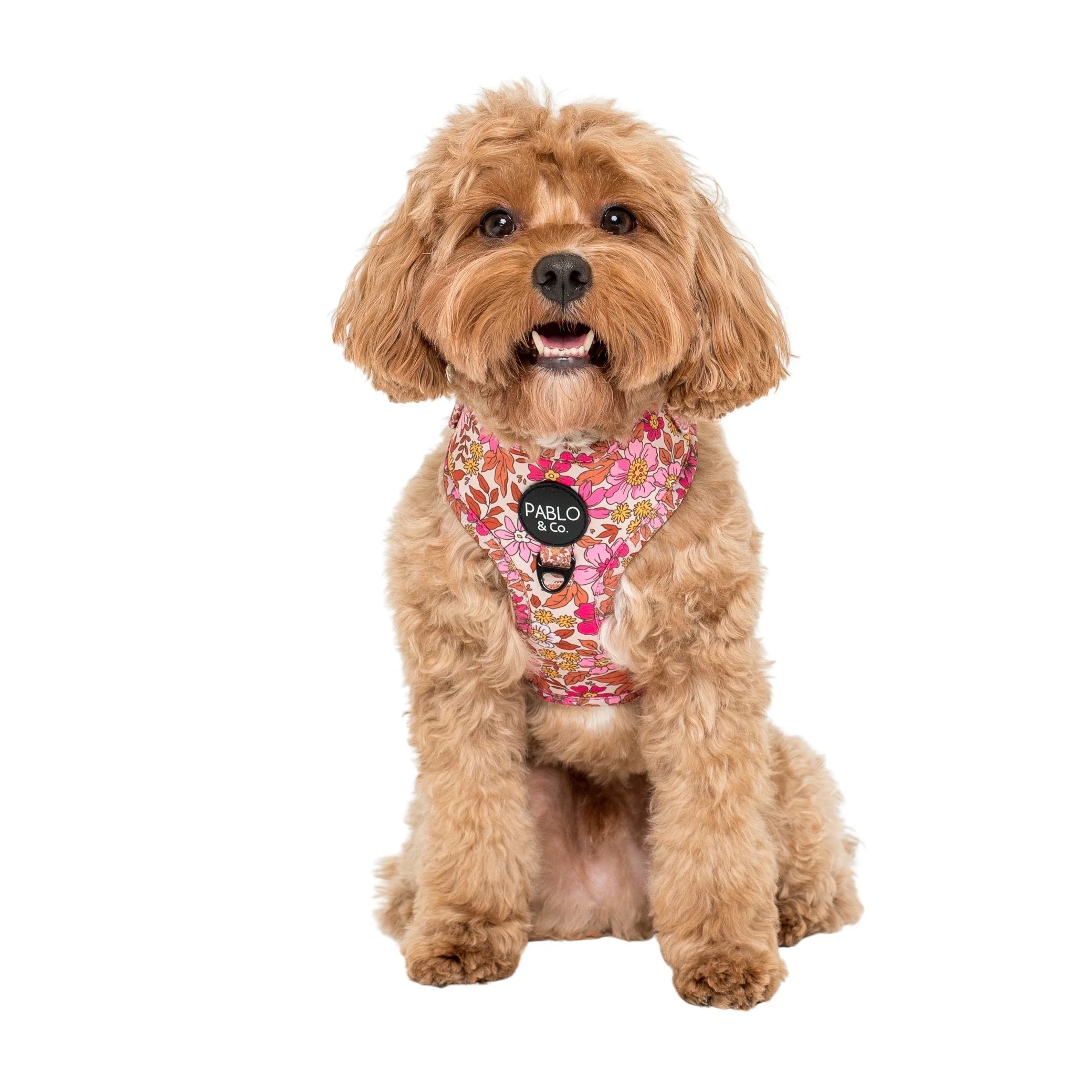 Pablo & Co Adjustable Harness Pink Posies