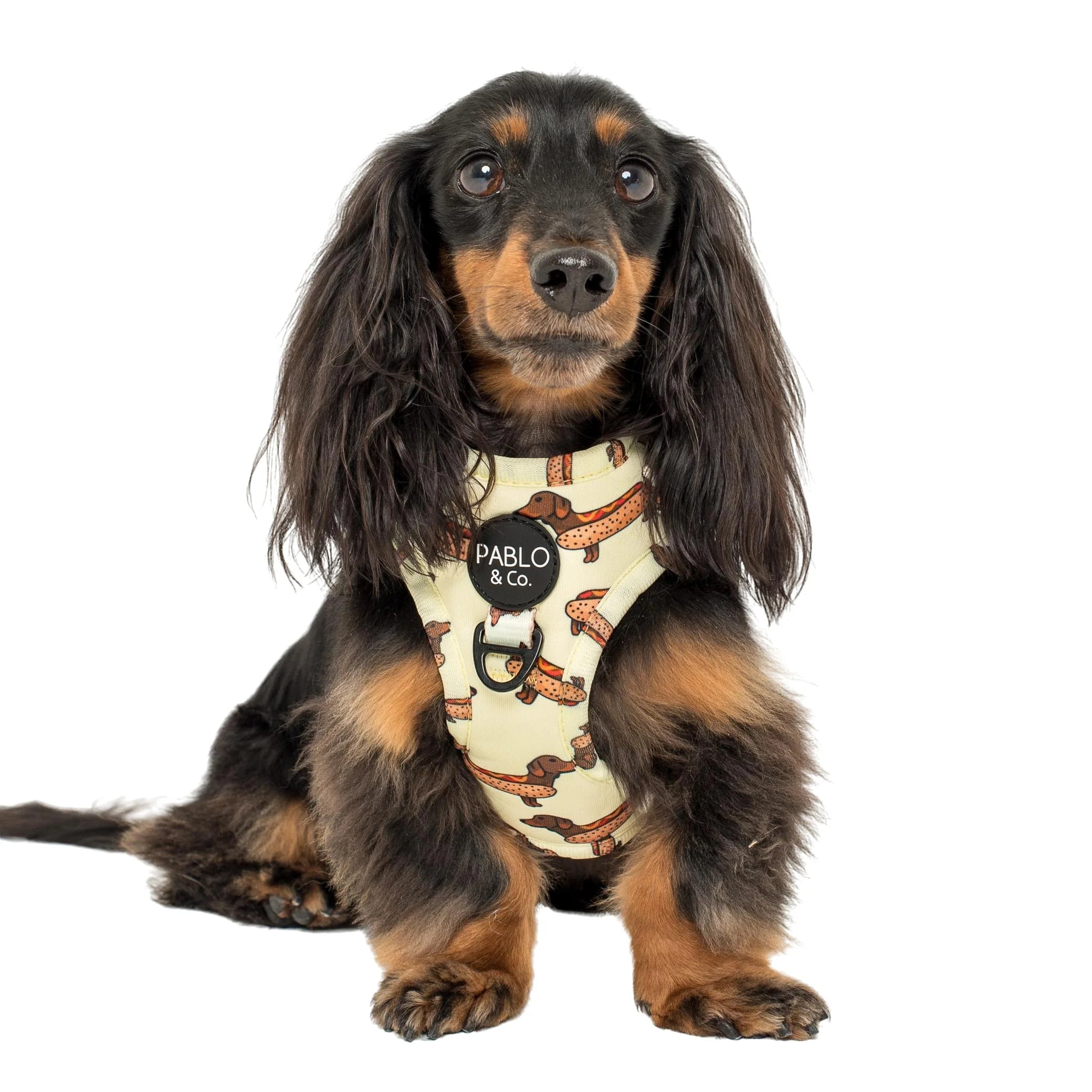 Pablo & Co Adjustable Harness Wiener Dog