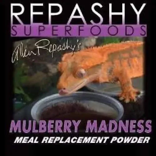 Repashy Crested Gecko Food Replacement Mulberry Madness Seasonal Blend