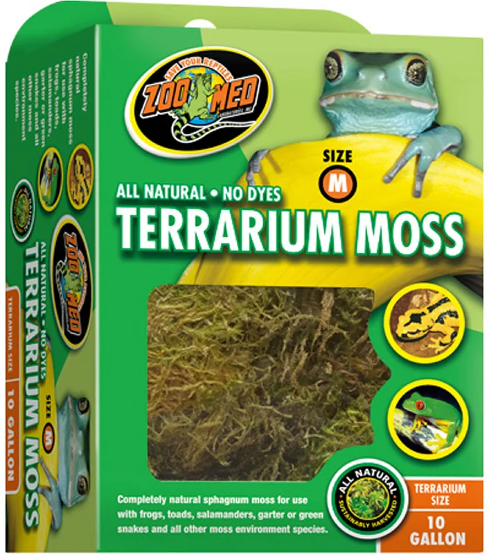 Terrarium Moss