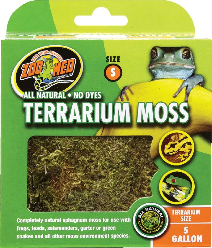 Terrarium Moss